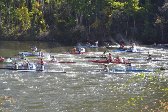 Regata de San Saturio 2016. /SN