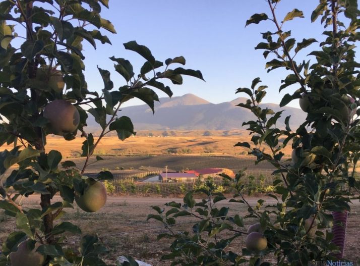 Las empresas foráneas apuestan por la provincia. /Altos de Yara