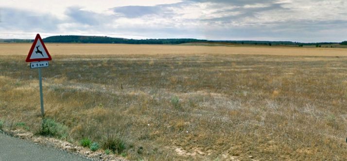 Imagen de una porción de los terrenos donde se establecerá la vaquería. / GM