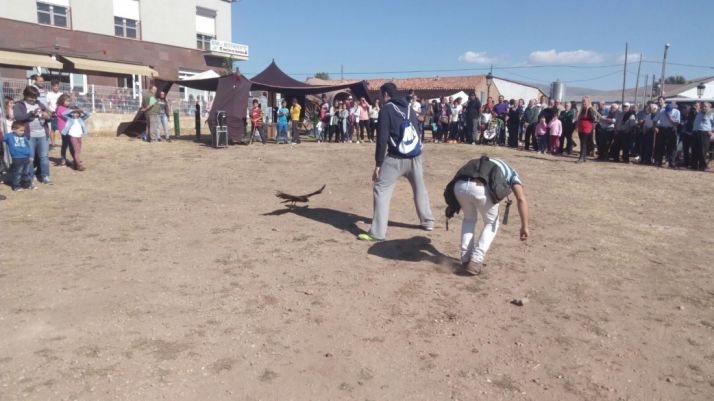 Demostración de cetrería en la feria ganadera de Borobia.