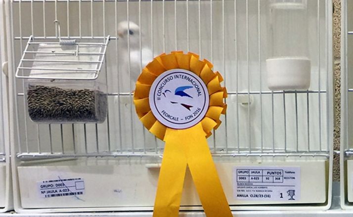 Uno de los galardones obtenidos.