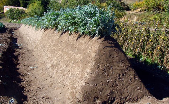 Un cantero de cardo rojo de perfecta ejecución. / AA