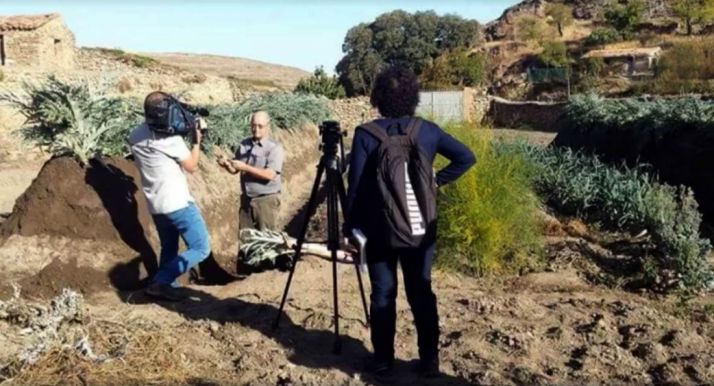 Isabelo Aroz muestra el cultivo del cardo./SN