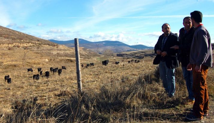 La visita institucional este lunes./Dip.