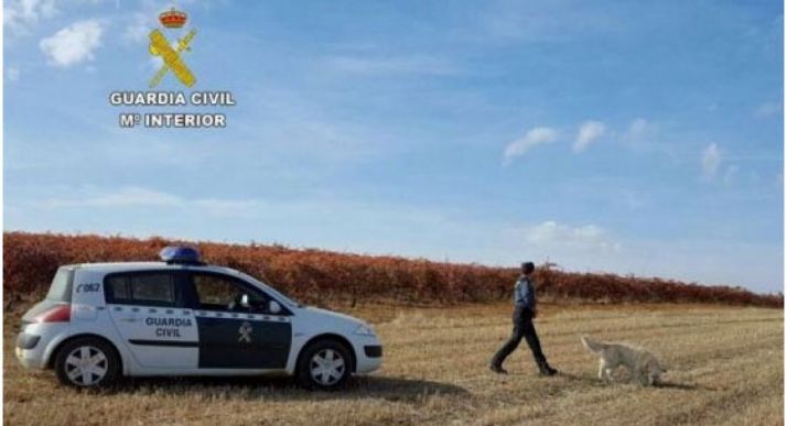 La Benemérita, clave en el hallazgo.