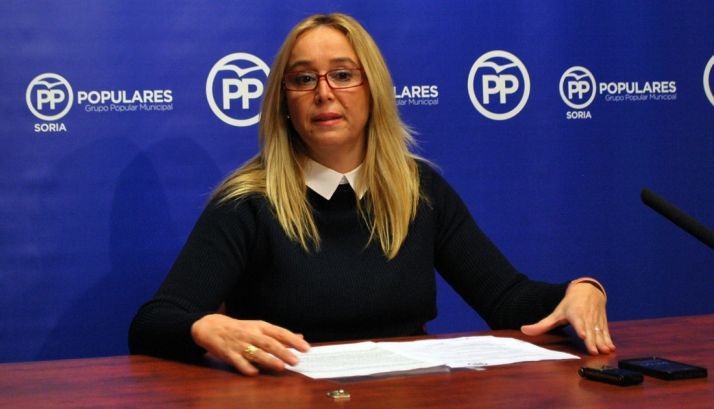 Fuentes, este miércoles en rueda informativa. / SN