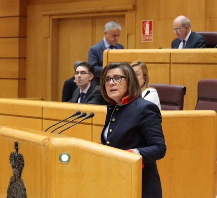 Mar Angulo en una intervención en el Senado.
