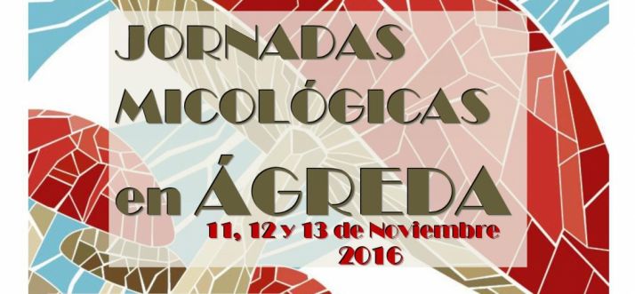 Con excursiones al campo y curso de cocina.