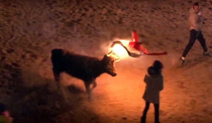 La joven ante el animal./mundotoro.com