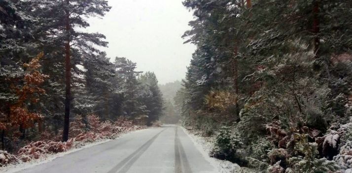 Pista forestal en Urbión hoy./AS