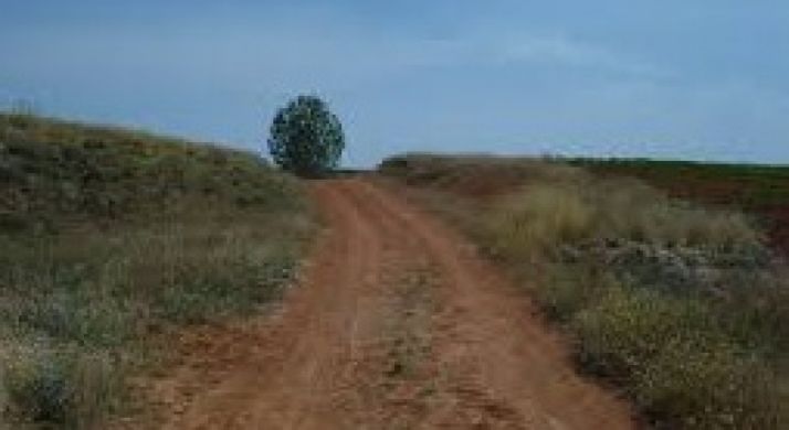 Camino Rural en Valderrodilla
