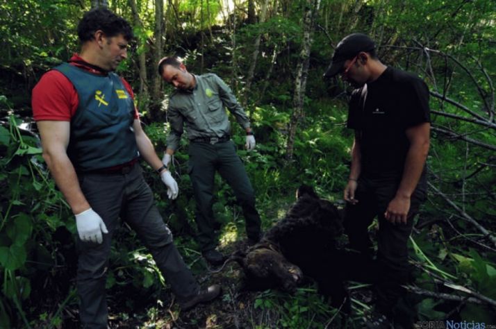 Imagen de archivo. SN