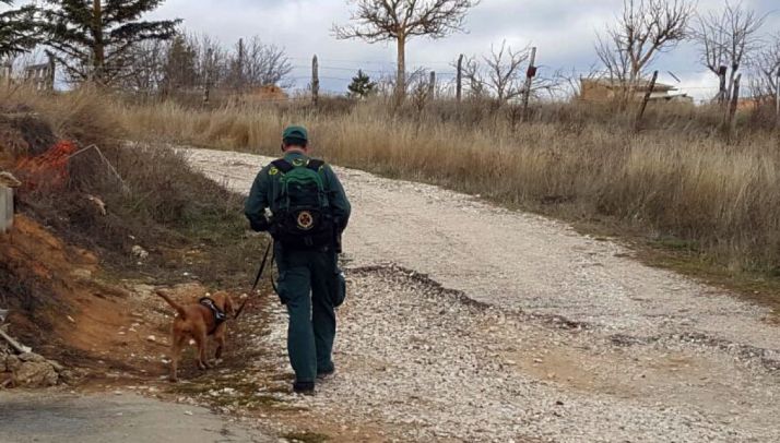 Un guía canino de la Guardia Civil con su perro durante la búsqueda.