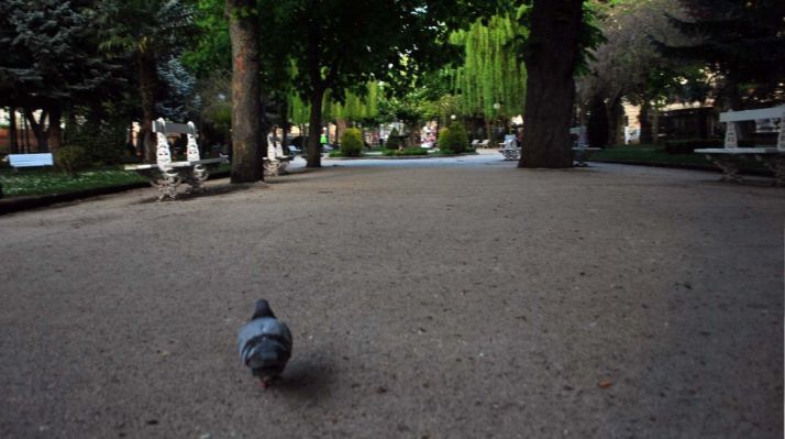 Imagen de archivo de la Dehesa./SN