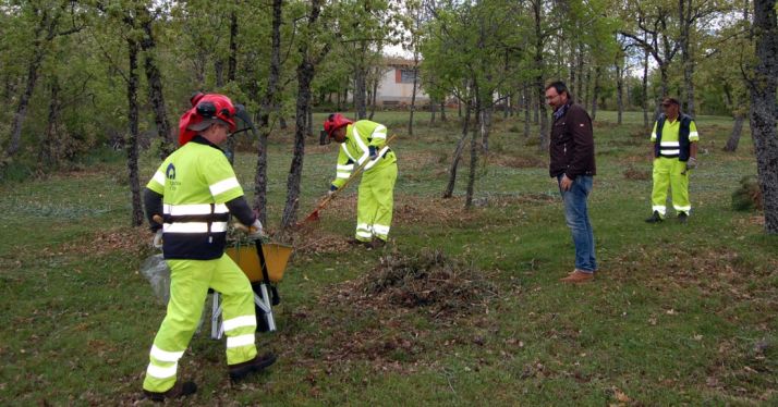 Una de las brigadas en sus labores.