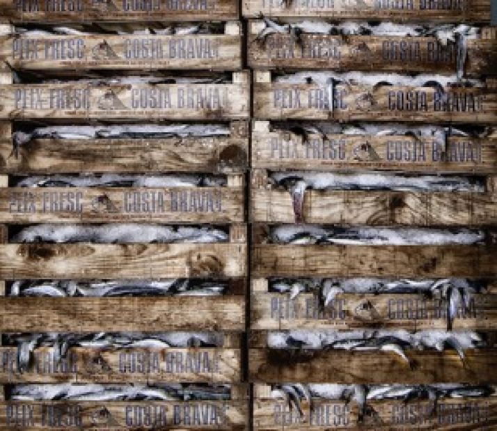 Ganadores III Certamen Fotográfico Dieta Mediterránea