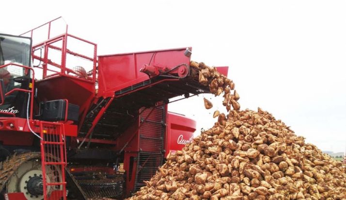 El sector remolachero emplea a más de 6.000 personas en la región./