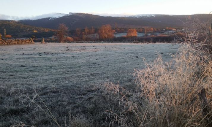 Helada en Pinares. /RF