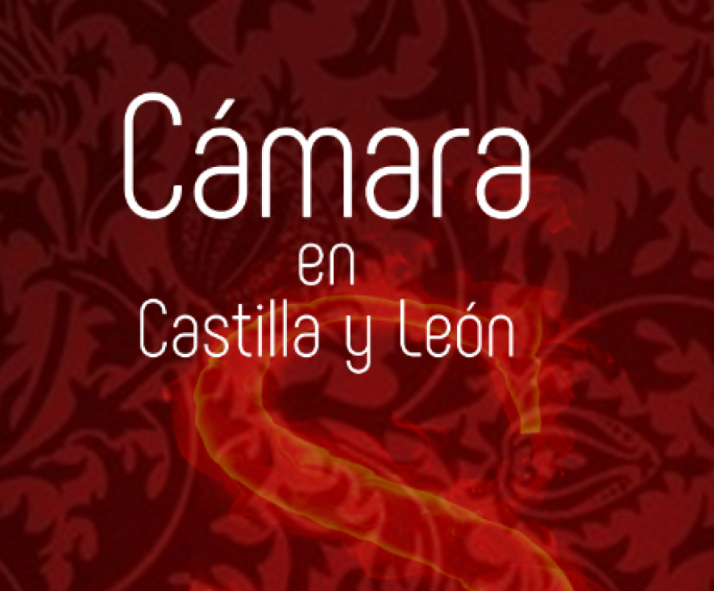 Cartel del concierto