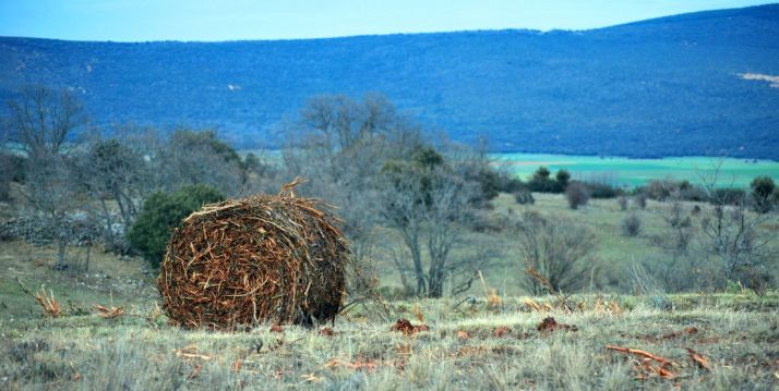 Una paca de biomasa en un monte de la provincia. / SN