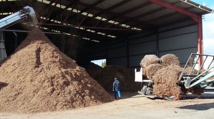 Aportará conocimientos en biomasa./Subdeleg.