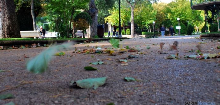 Hojas arrastradas por el viento./SN