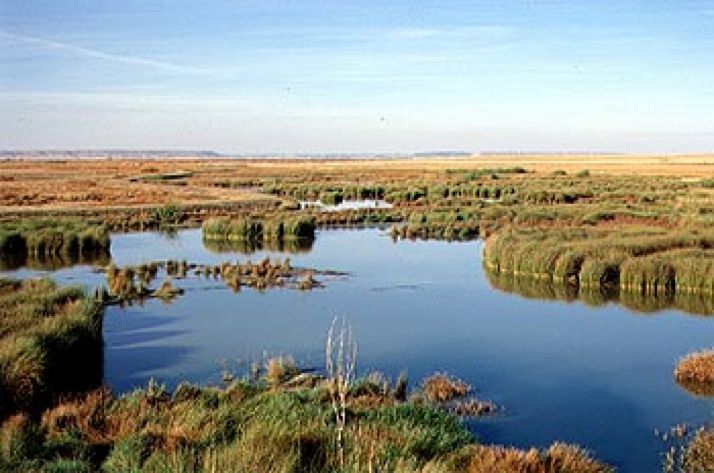 Laguna La Nava. / Colegio Marista Castilla.