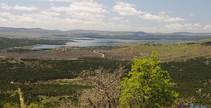El pantano en una imagen de archivo./SN