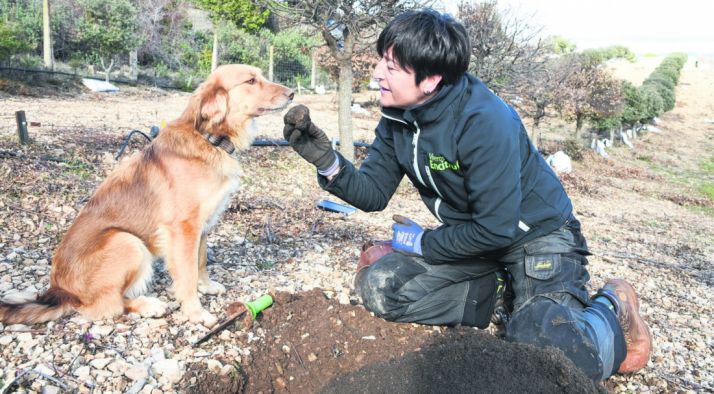 El oro negro de Soria, protagonista en la feria madrileña. /SN