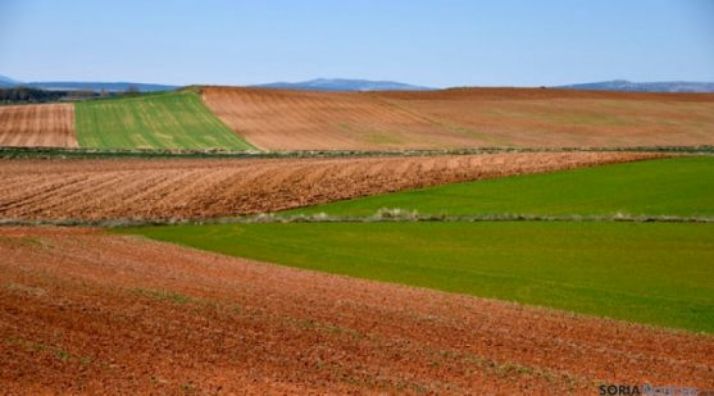Terrenos de labor en la provincia de Soria. /SN