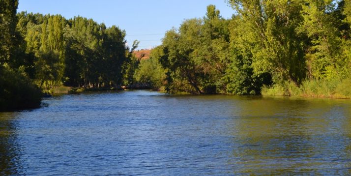 Imagen del Duero en la capital. /SN