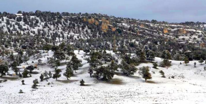 Imagen invernal del Sabinar. /SN