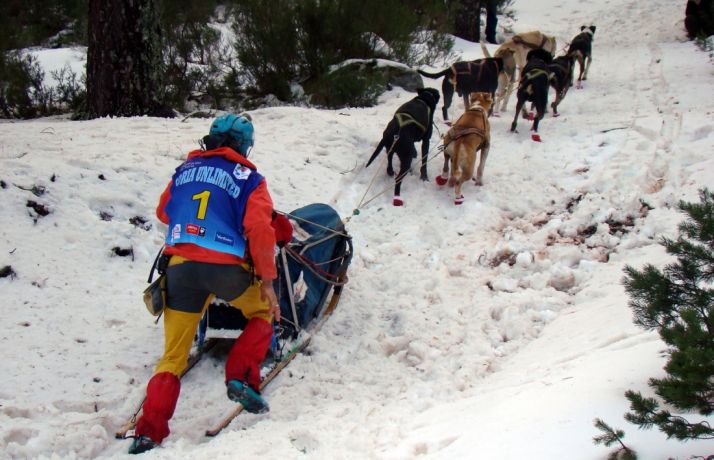Sánchez, ganador de 2015, este viernes.