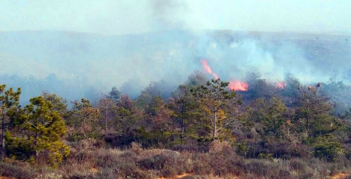 Imagen de la zona incendiada. /SN