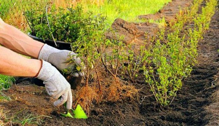 La prevención en los entornos urbanizados es fundamental. /SN