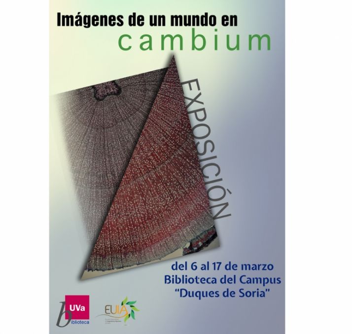 Abierta hasta el 17.