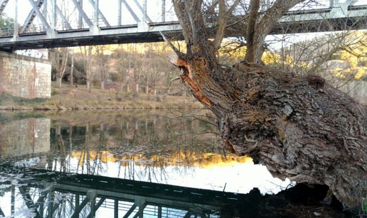 Imagen del Duero en la capital. /SN