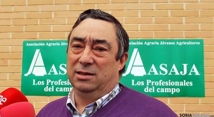 Carmelo Gómez, presidente de ASAJA-Soria./SN