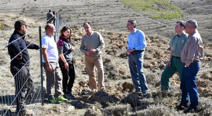 El delegado territorial este lunes en una zona reforestada, en Carrascosa de la Sierra