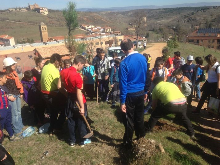 Plantación de árboles/ SN