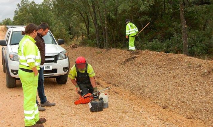 Brigadas Forestales en Soria
