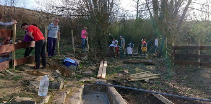 Imagen de los trabajos colectivos.