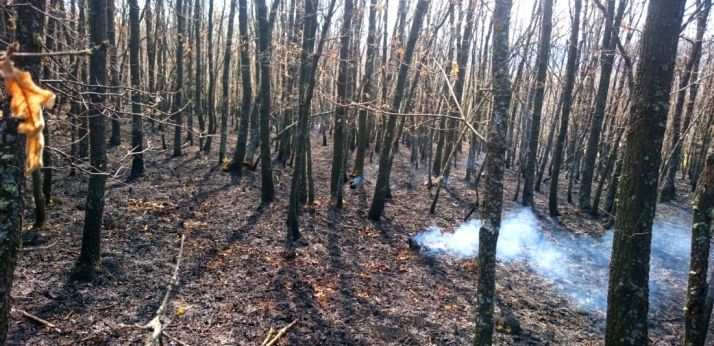 Rescoldos del incendio. /SN