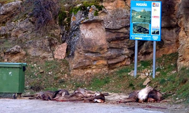 Las piezas abatidas en Magaña. /ASDEN