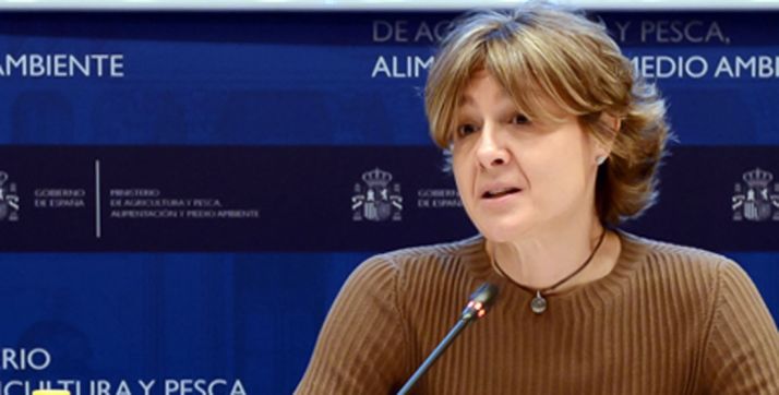 Isabel G. Tejerina, titular del MAPAMA.