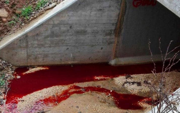 Imagen del vertido según ASDEN. /ASDEN