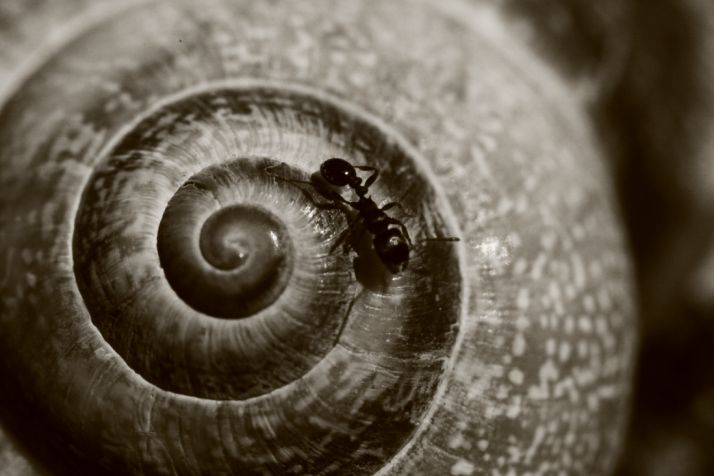 Fotografía ganadora del primer premio/ F.M.