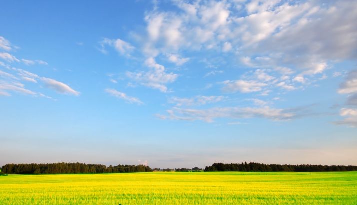Así lo refleja el informe anual. /SN