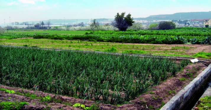 La cesión es hasta 2055.