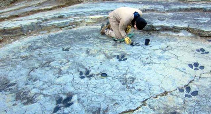 Labores en el yacimiento de Fuentelsalvo. /Dip.